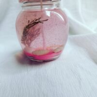 Pink Sea Candle - Image 4